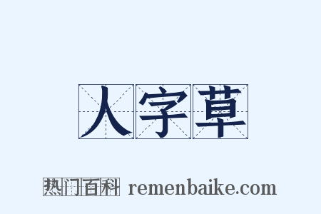 人字草是什么意思的图片